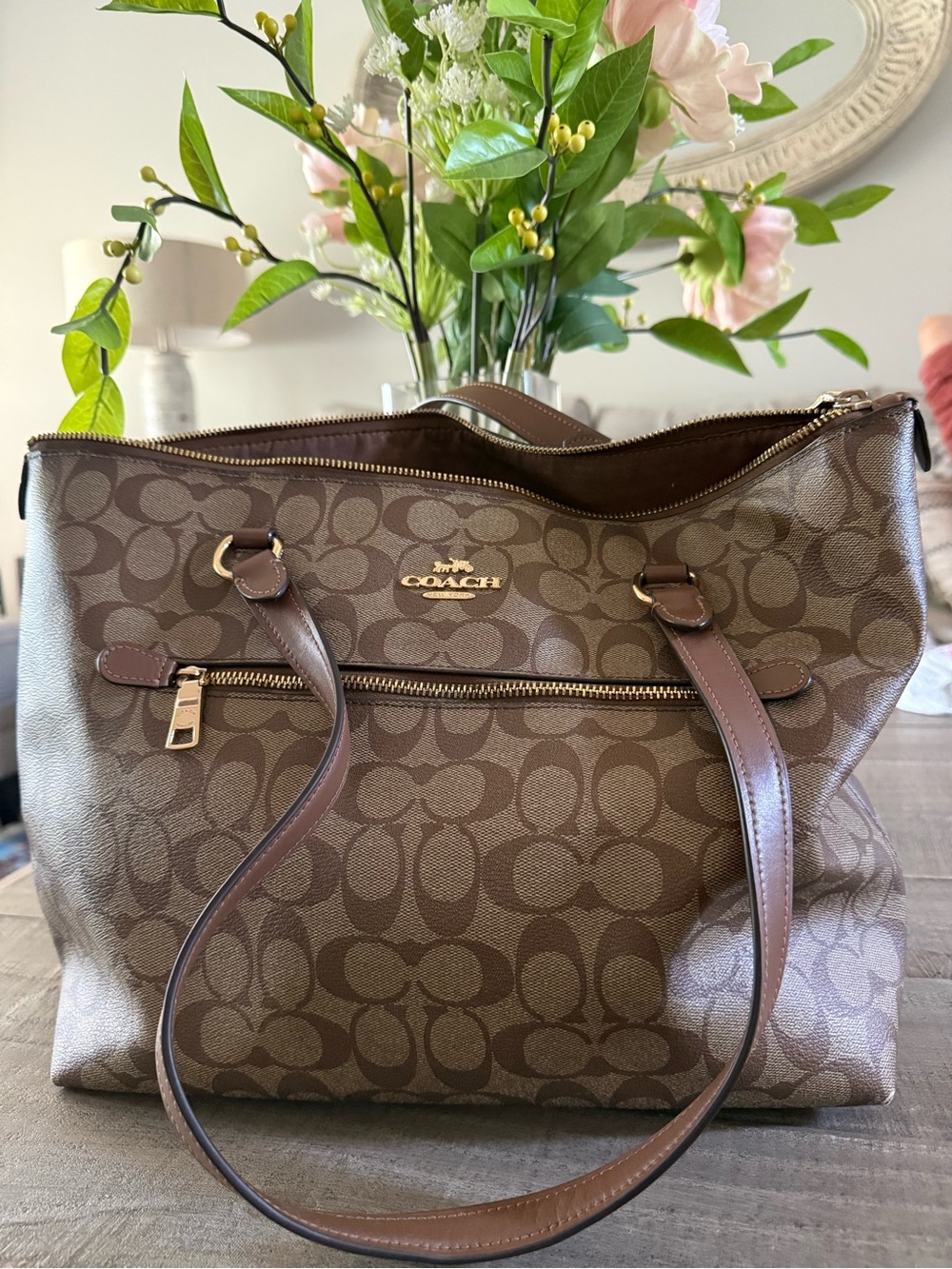 Coach Brown Signature Canvas Logo Tote with Gold Hardware